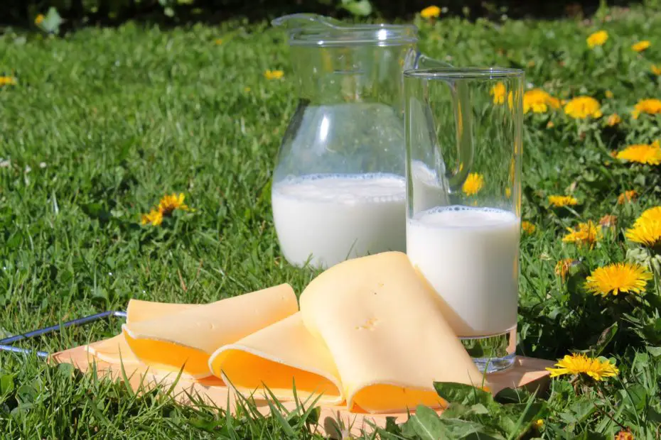 vaso de leche y rodajas de queso contienen calcio