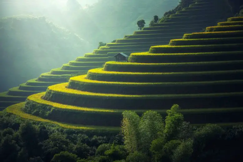 plantaciones de arroz escalonadas en terrazas en beneficio de la ecología